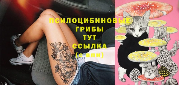 молекула духа Алексин