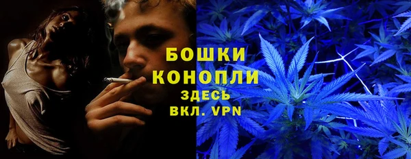 молекула духа Алексин