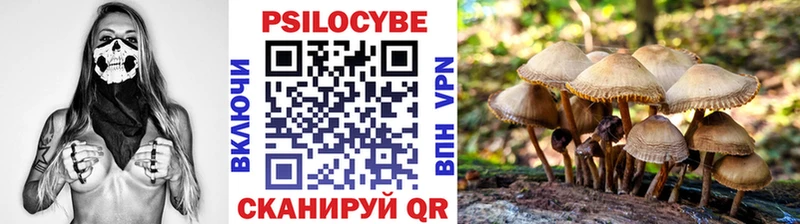 Галлюциногенные грибы прущие грибы Берёзовский